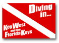 S-DiveFlag