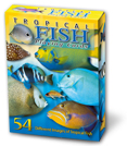 plcard2200