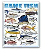 GAMEFISHLG-1
