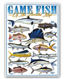 GAMEFISHSM-1