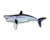 LPFISH5