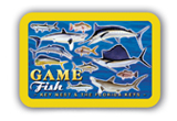 PLCARDS500