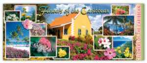 Banner Pens - Caribbean Flowers